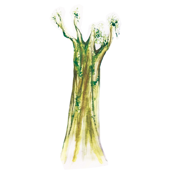 �����s����